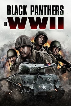 Black Panthers of WWII (2025)
